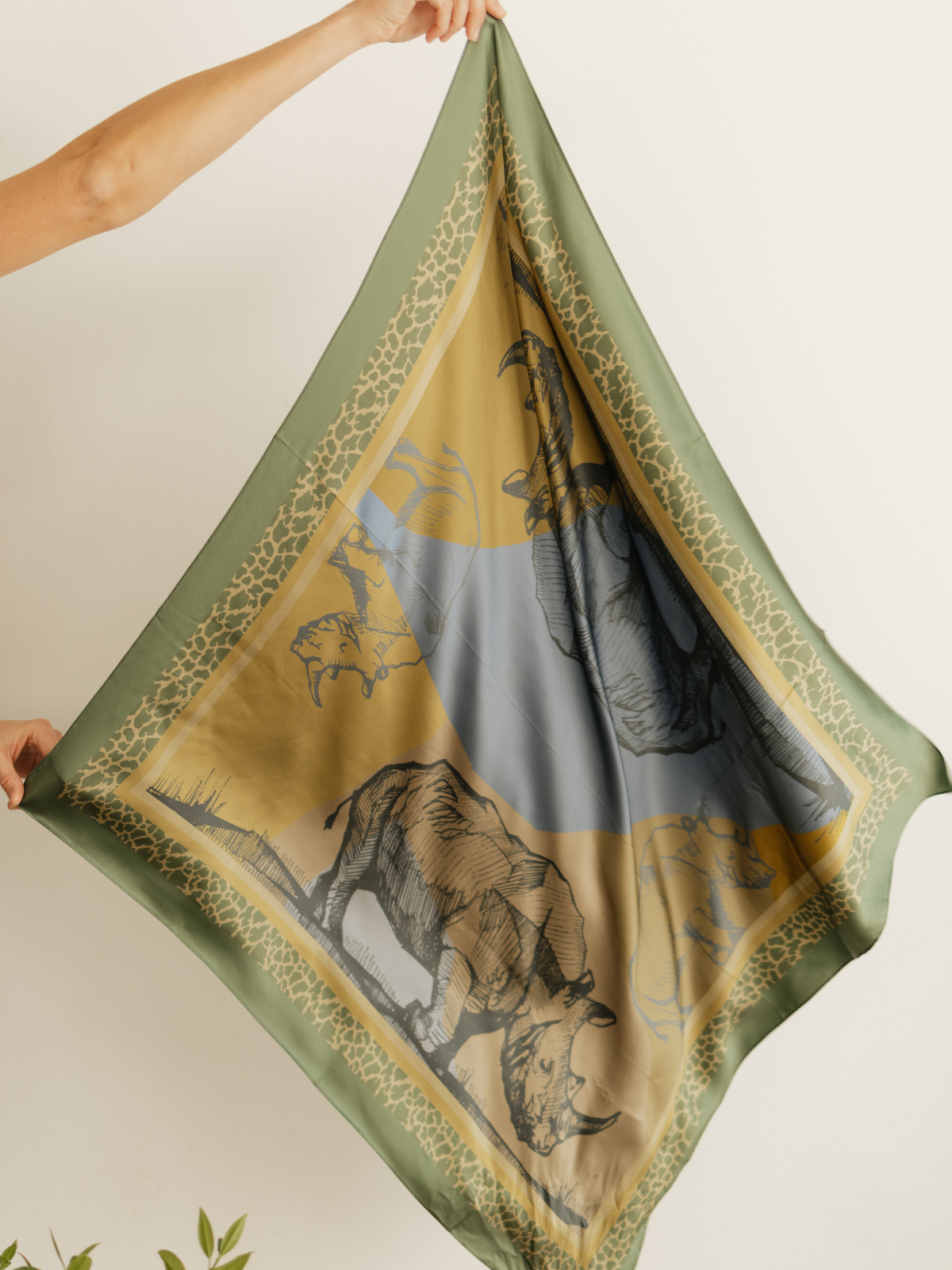 African Crash